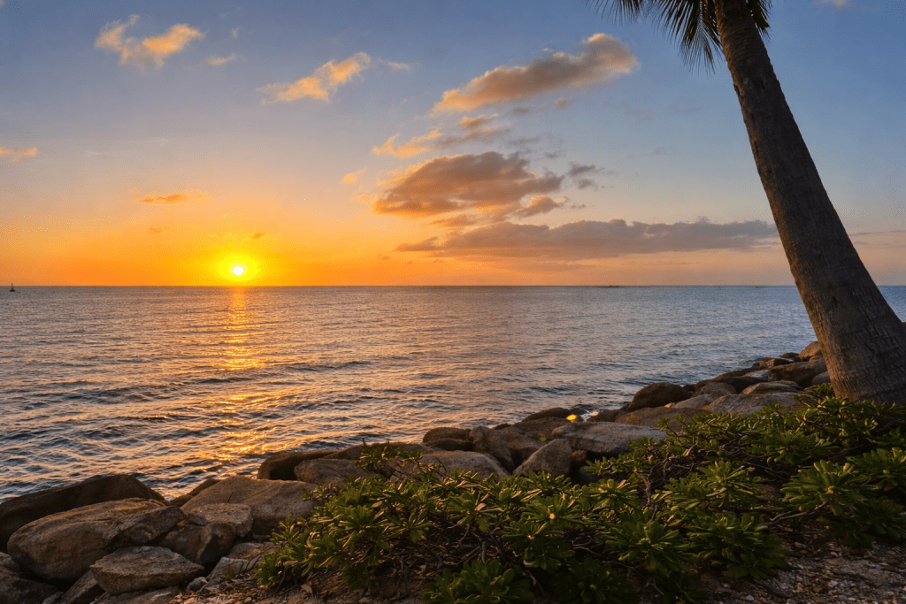 aruba-sunset-ocean-view-tropical-coast Sunset over the Caribbean Sea in Aruba with rocky coastline and palm tree near Flamingo Bay Villas.