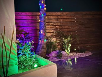 Tropical garden with palm tree and colorful night lighting at Flamingo Bay Villas Aruba.