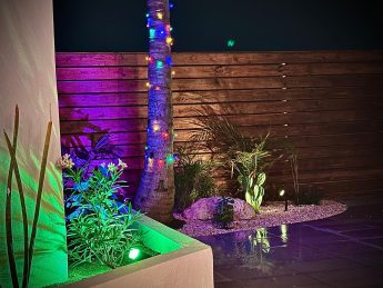 Tropical garden with palm tree and colorful night lighting at Flamingo Bay Villas Aruba.
