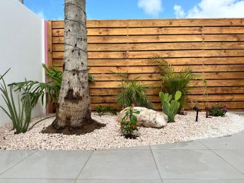 Tropical garden with palm tree, cactus, and flowering plants against a wooden fence at Flamingo Bay Villas Aruba.