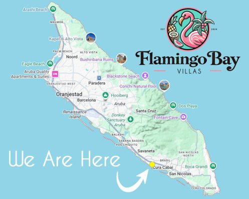new map